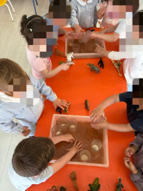 En bandejas de agua con cacao, buscamos imágenes de animales previamente plastificados a través de la base de un vaso transparente.